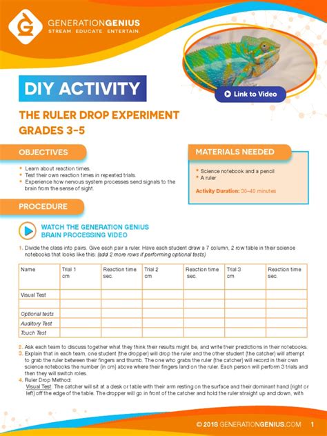 ruler drop experiment pdf